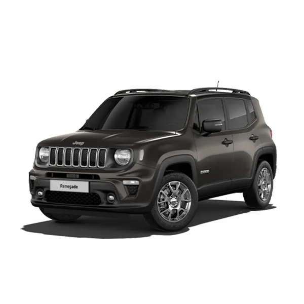 flotta auto noleggio breve e lungo termine